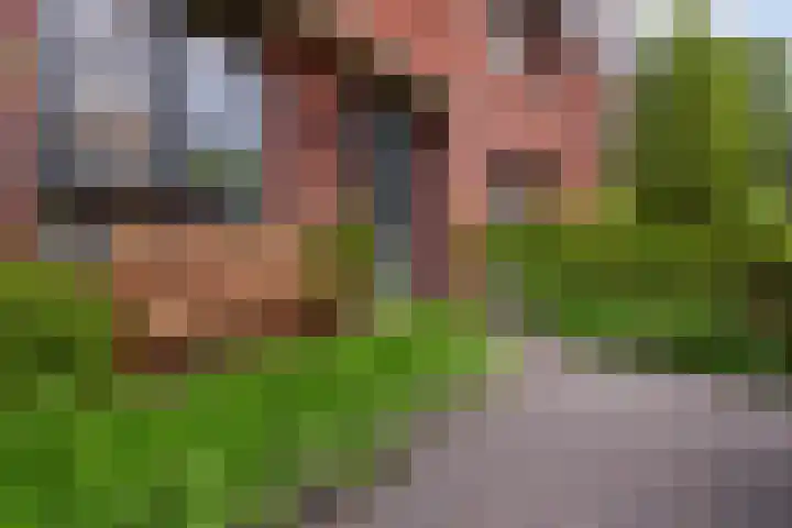 Schoolstraat 32 Ederveen thumbnail 34