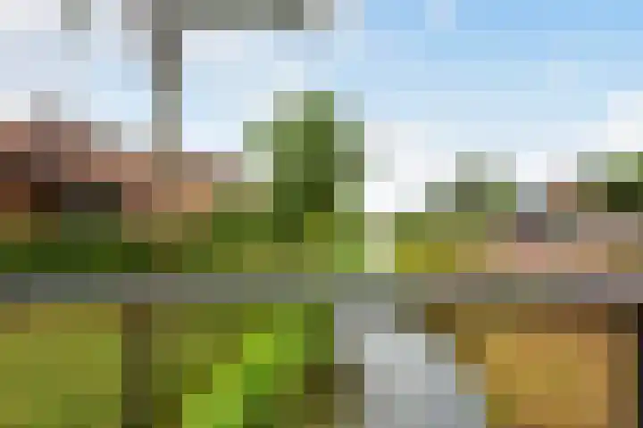 Schoolstraat 32 Ederveen thumbnail 39