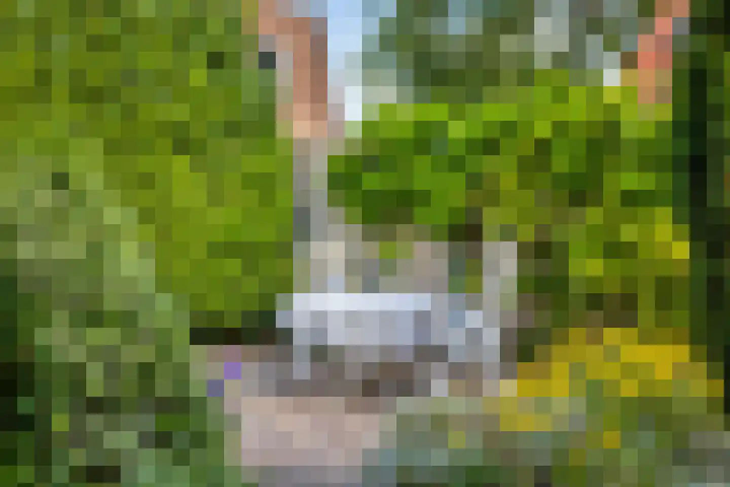 Schoolstraat 33 a Riethoven thumbnail 43