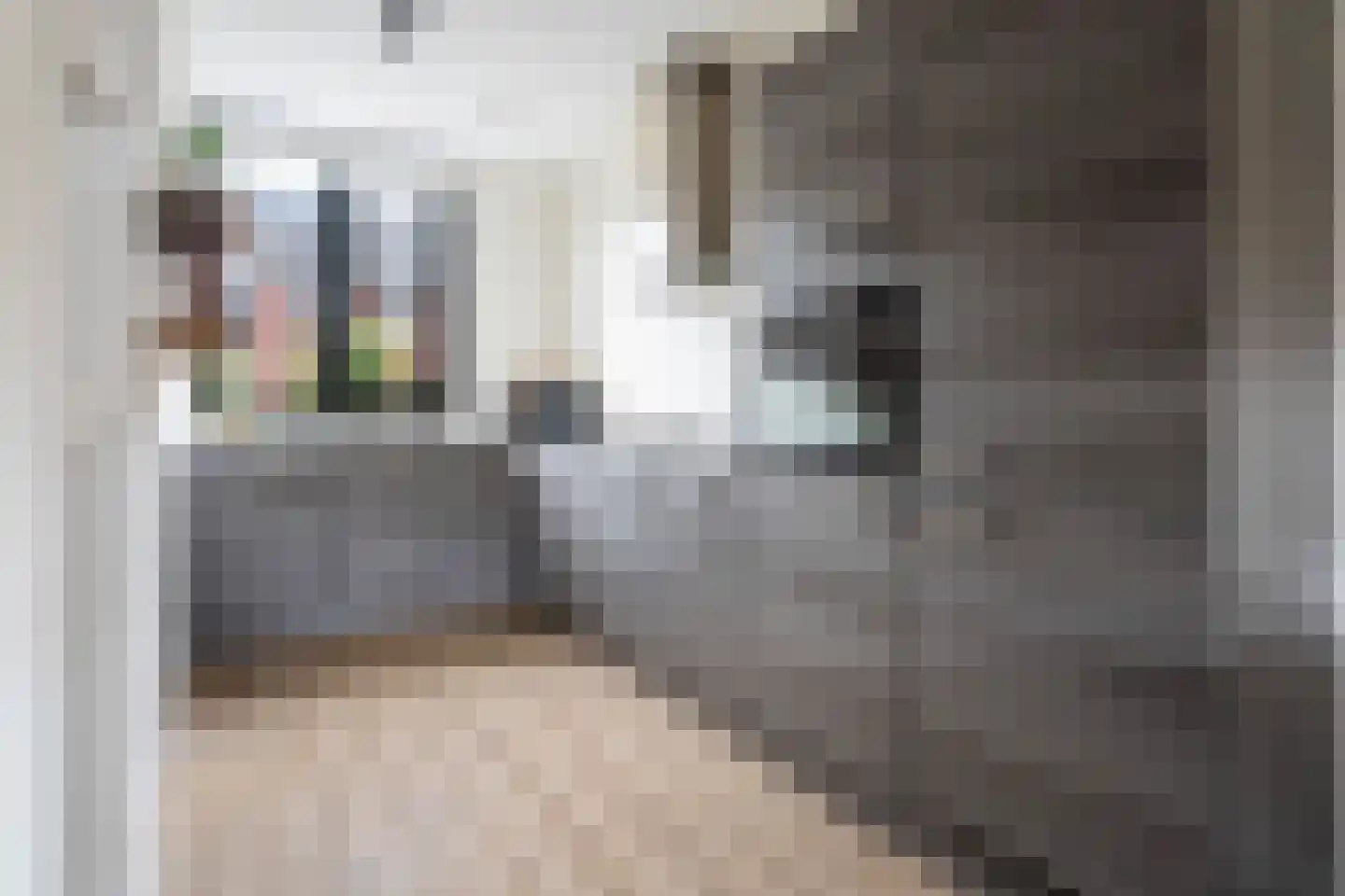 Schoolstraat 33 Ederveen thumbnail 10