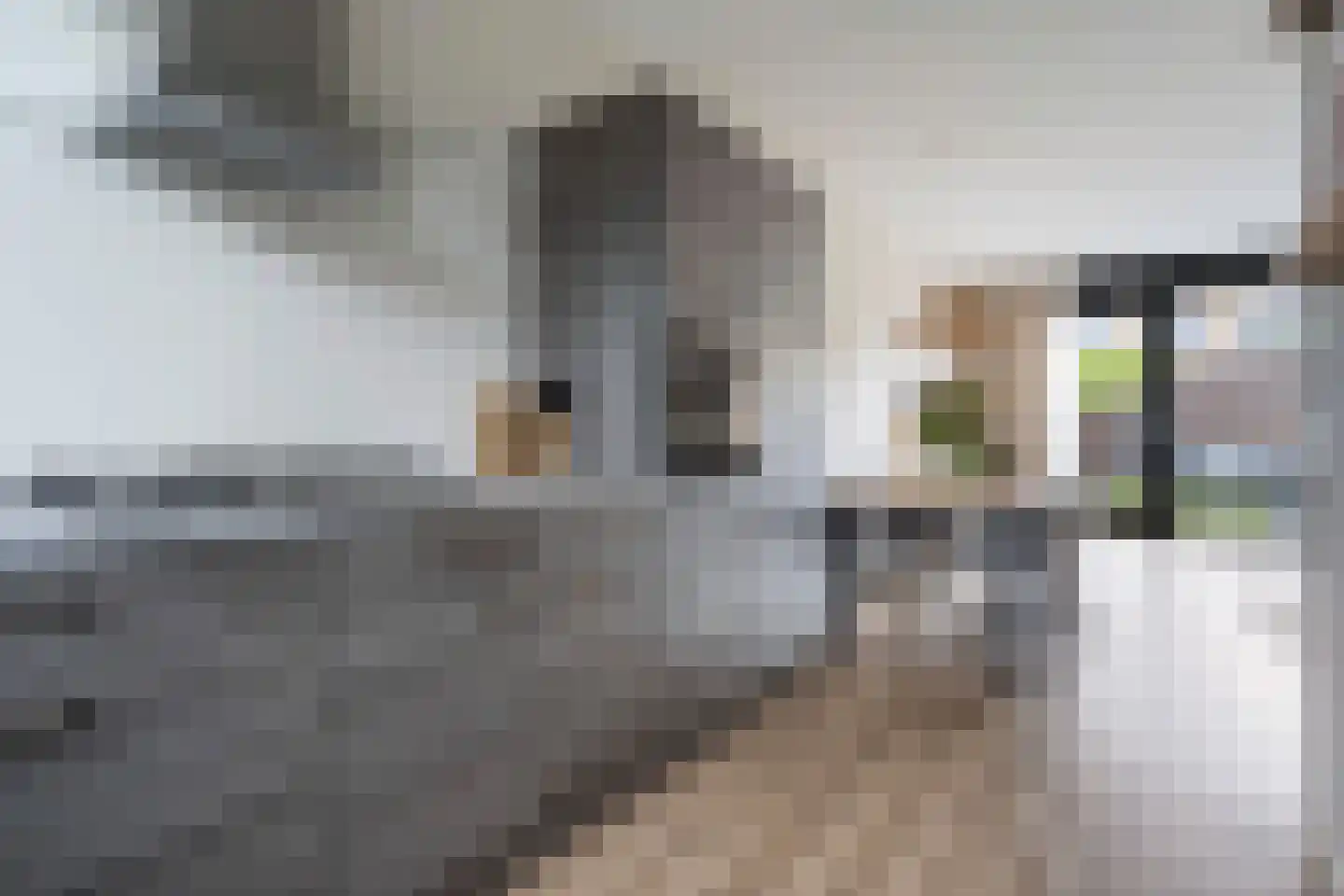 Schoolstraat 33 Ederveen thumbnail 12