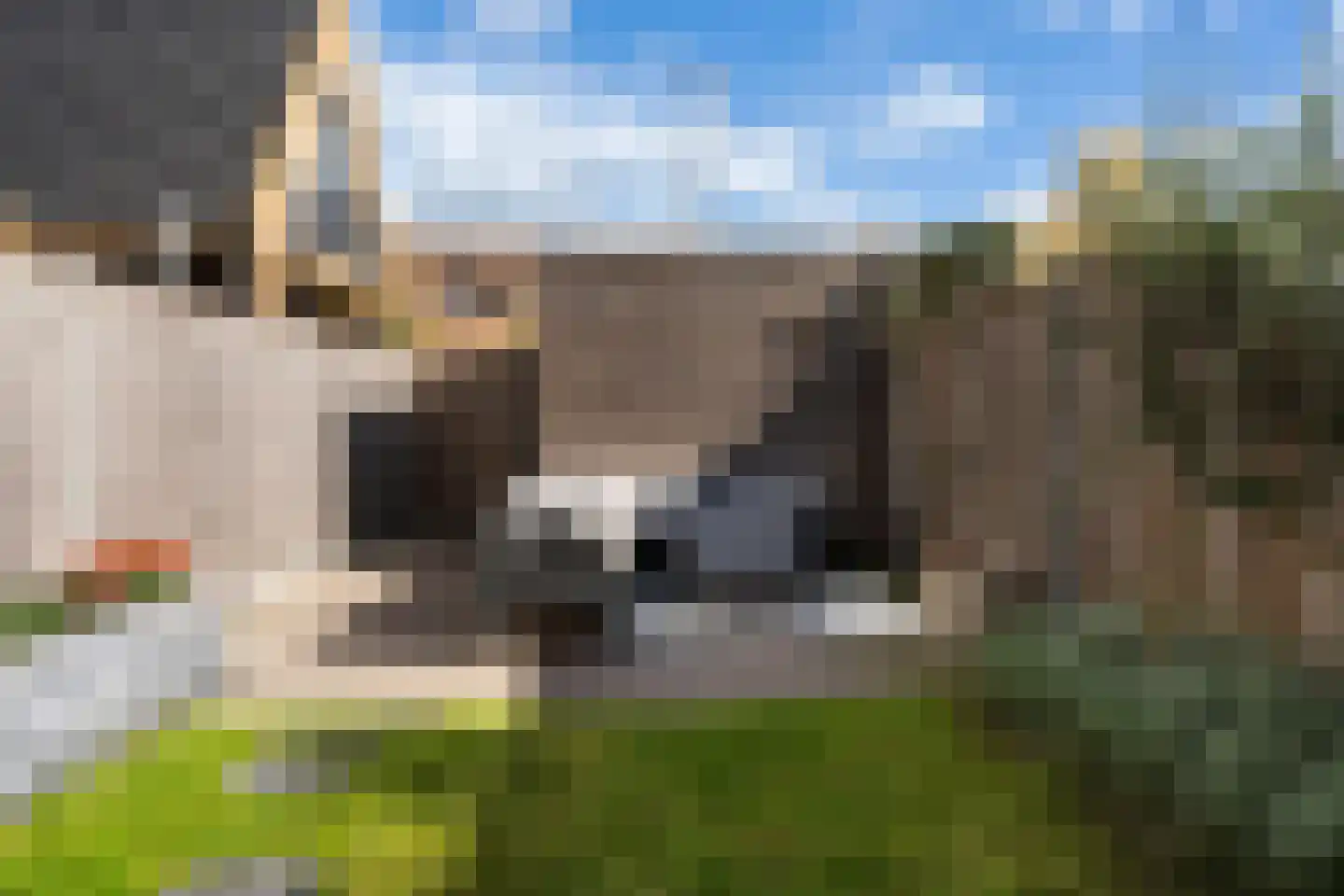 Schoolstraat 33 Ederveen thumbnail 28