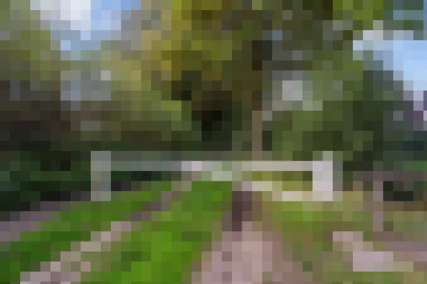 Schoolstraat 33 Ederveen thumbnail 36