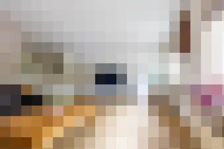 Schoolstraat 33 Een thumbnail 16
