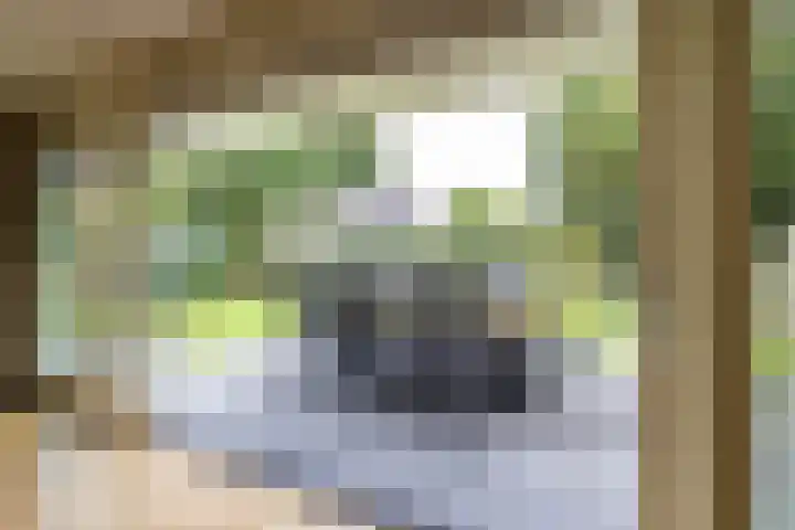 Schoolstraat 33 Een thumbnail 25
