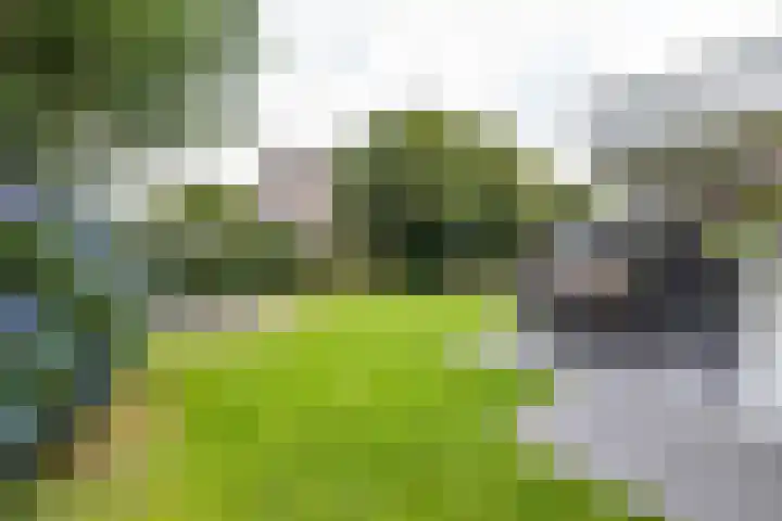 Schoolstraat 33 Een thumbnail 26