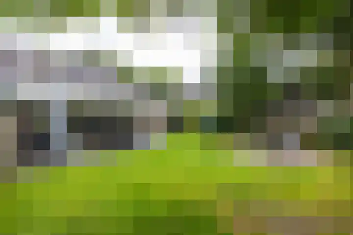 Schoolstraat 33 Een thumbnail 29