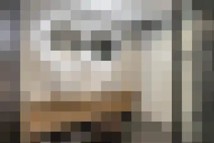 Schoolstraat 33 Een thumbnail 35