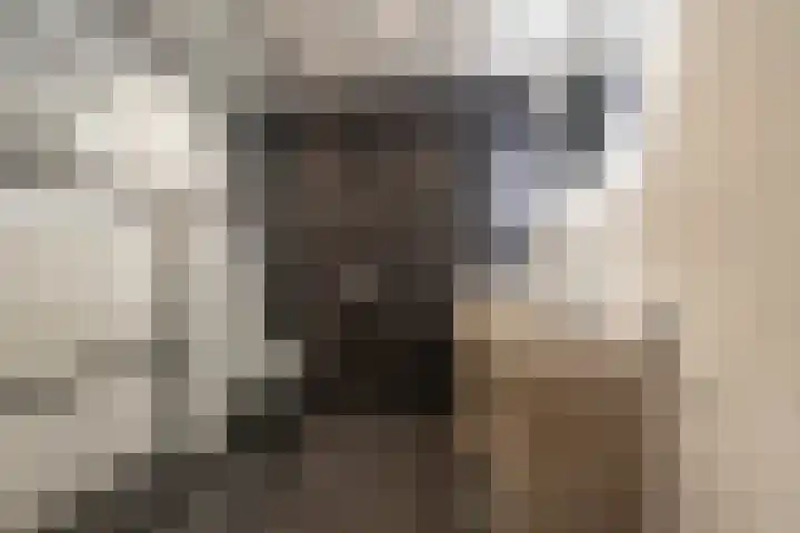 Schoolstraat 33 Een thumbnail 4