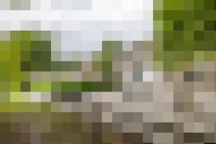 Schoolstraat 33 Een thumbnail 53