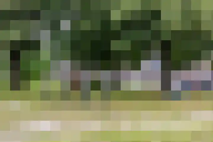 Schoolstraat 33 Een thumbnail 55