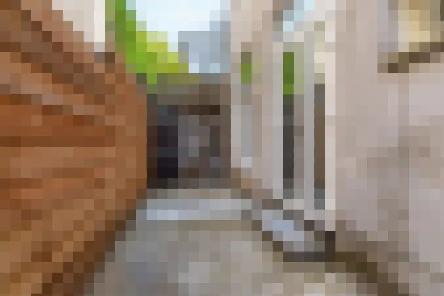 Schoolstraat 34 Arnhem thumbnail 25