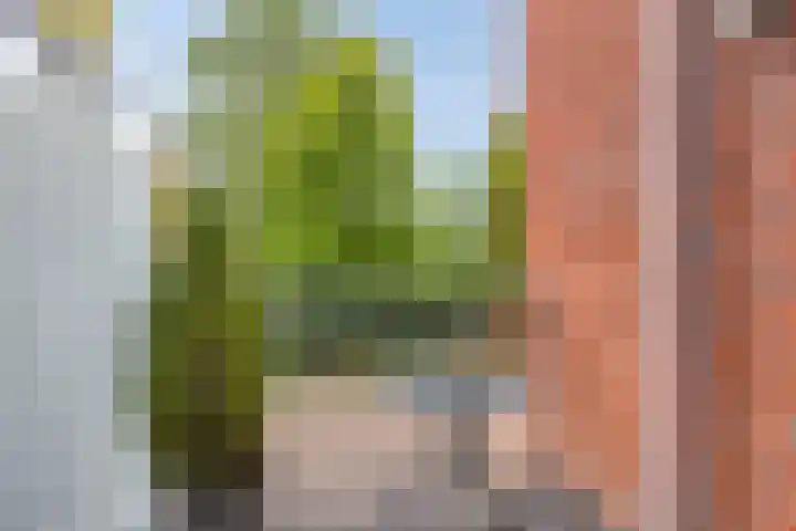Schoolstraat 34 B Drunen thumbnail 15