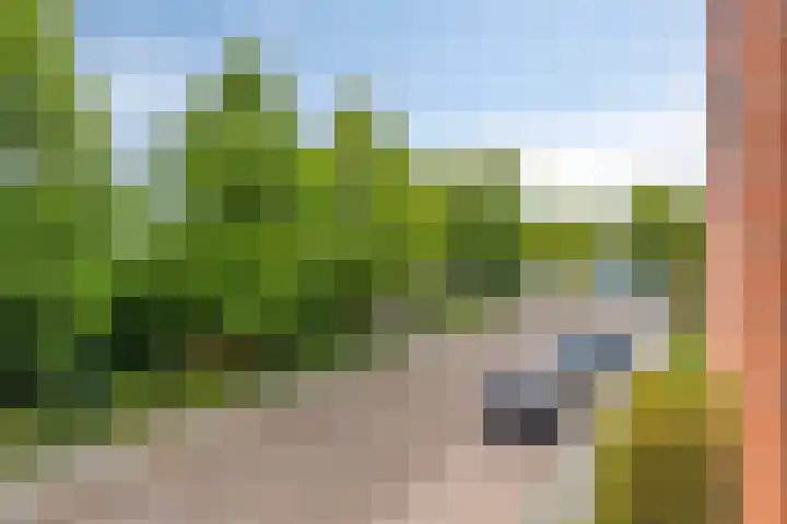Schoolstraat 34 B Drunen thumbnail 16