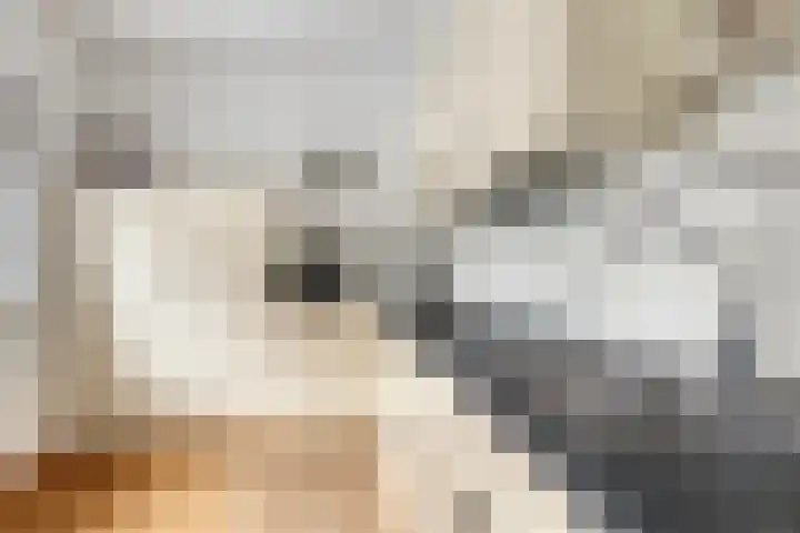 Schoolstraat 34 B Drunen thumbnail 19