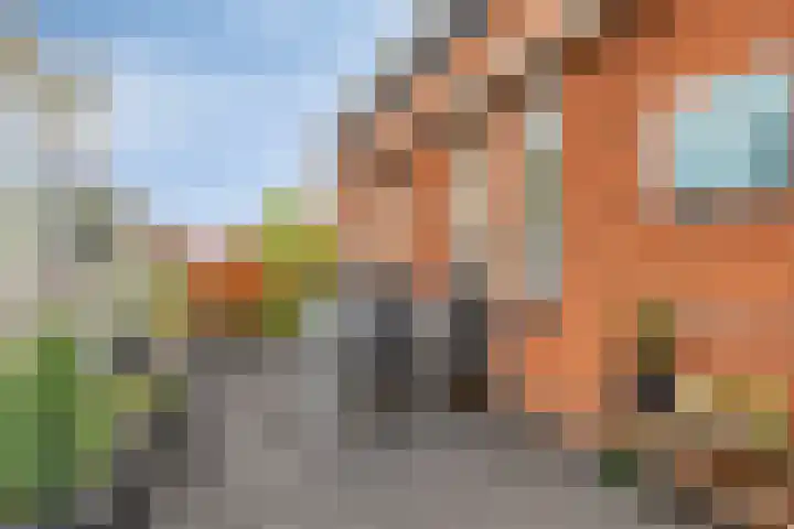 Schoolstraat 34 B Drunen thumbnail 23