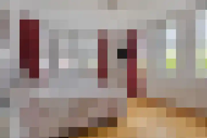 Schoolstraat 34 B Drunen thumbnail 28