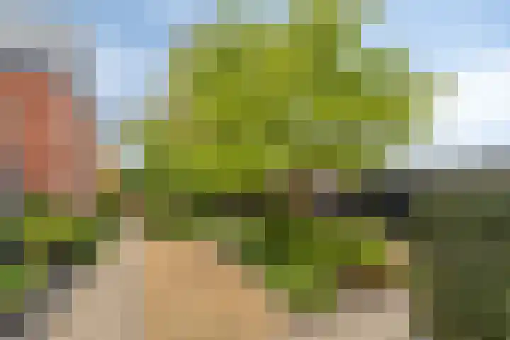 Schoolstraat 34 B Drunen thumbnail 33