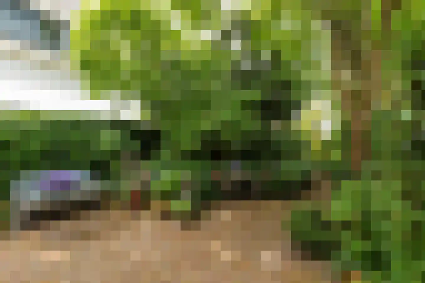 Schoolstraat 34 Baarn thumbnail 32