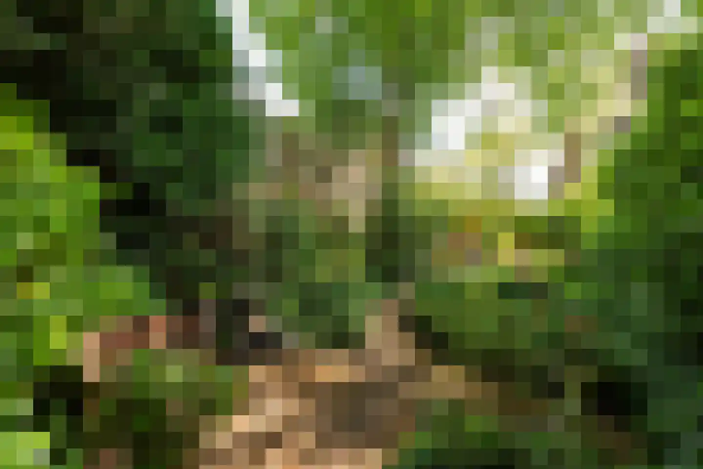 Schoolstraat 34 Baarn thumbnail 33