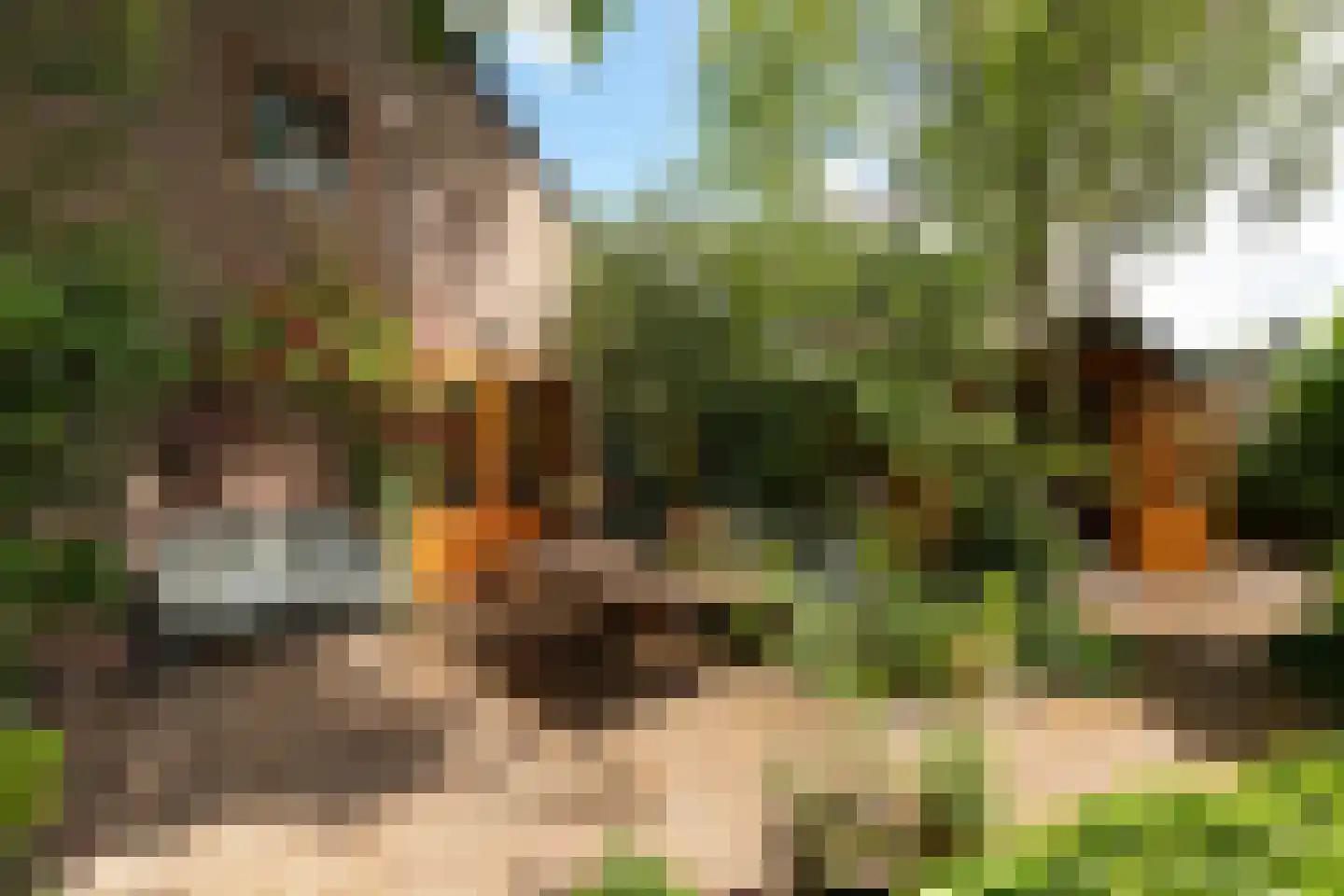 Schoolstraat 34 Baarn thumbnail 36