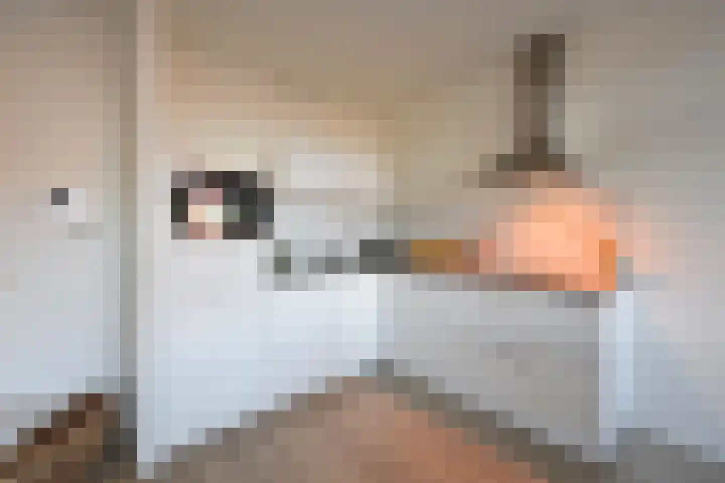 Schoolstraat 34 Bussum thumbnail 9