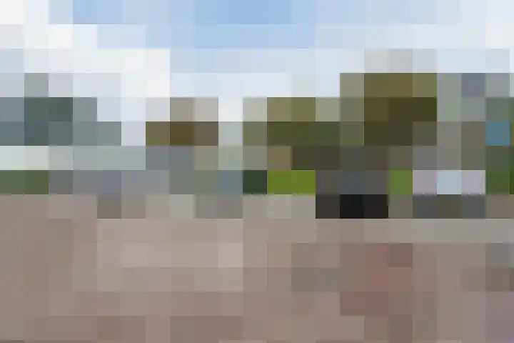 Schoolstraat 34 Egmond aan Zee thumbnail 25