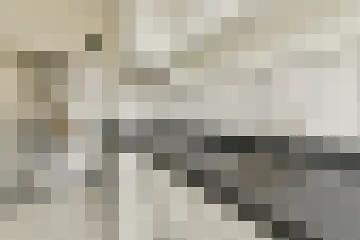 Schoolstraat 34 Gendt thumbnail 34