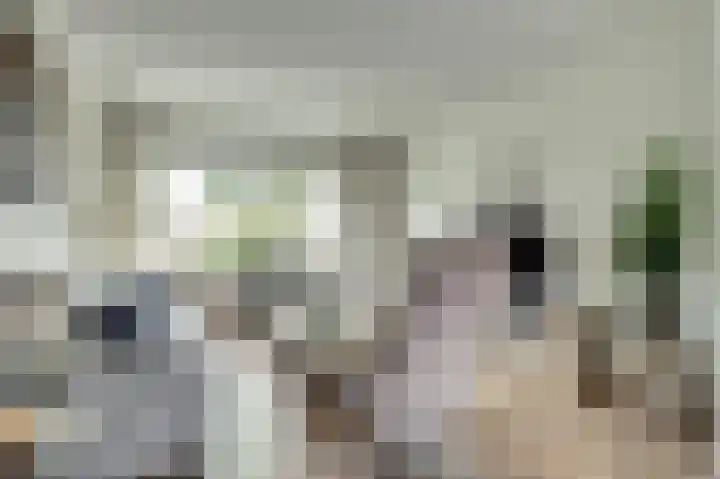 Schoolstraat 34 Gendt thumbnail 5