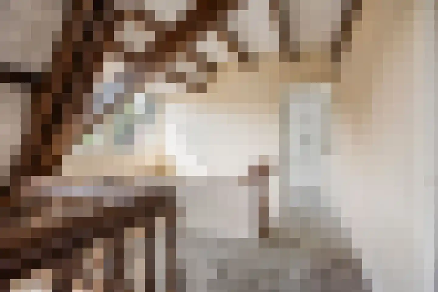 Schoolstraat 34 Rijswijk thumbnail 22