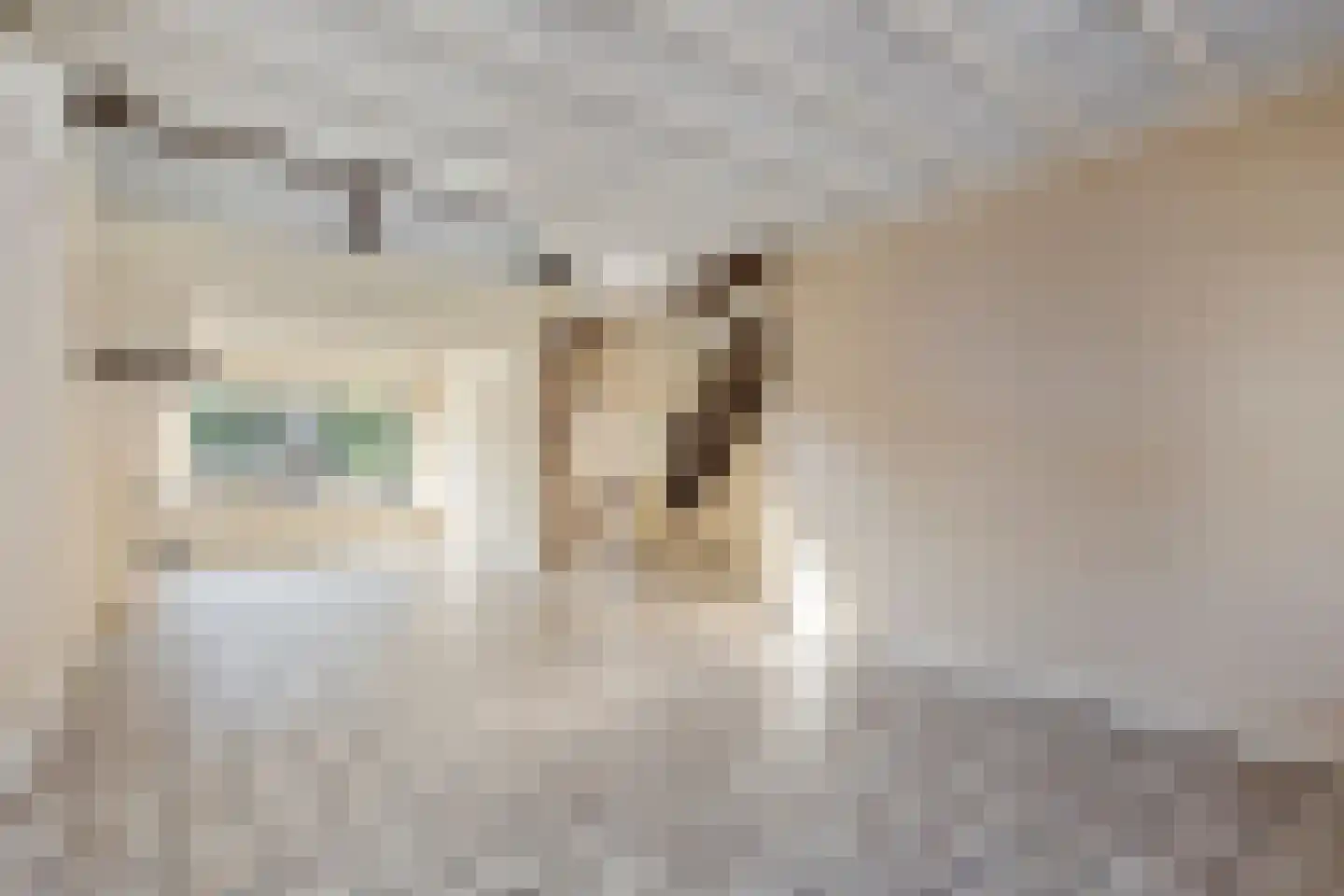 Schoolstraat 34 Rijswijk thumbnail 4
