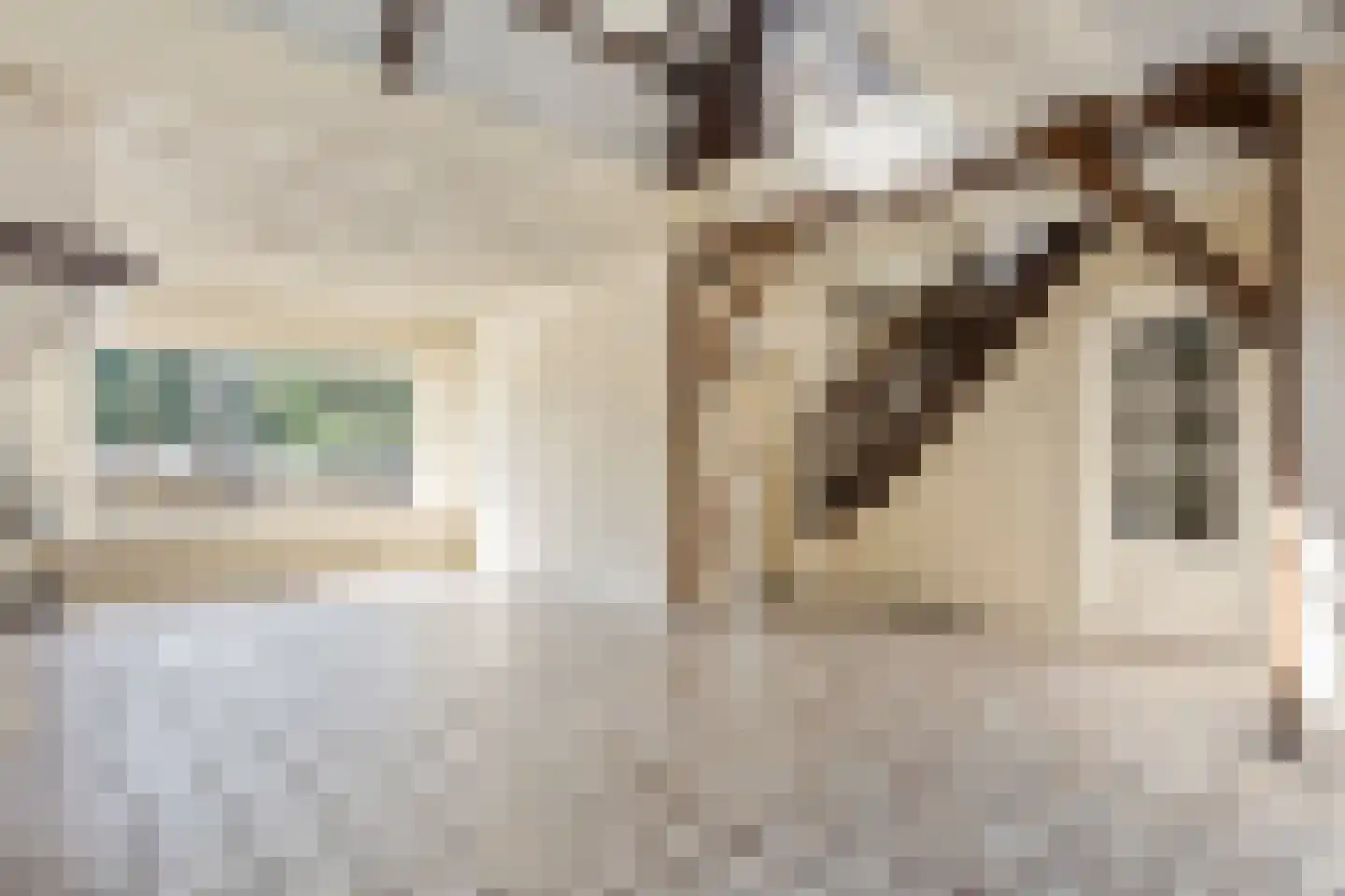 Schoolstraat 34 Rijswijk thumbnail 6