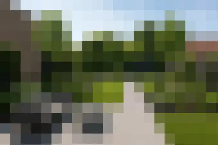 Schoolstraat 34 Velp thumbnail 5