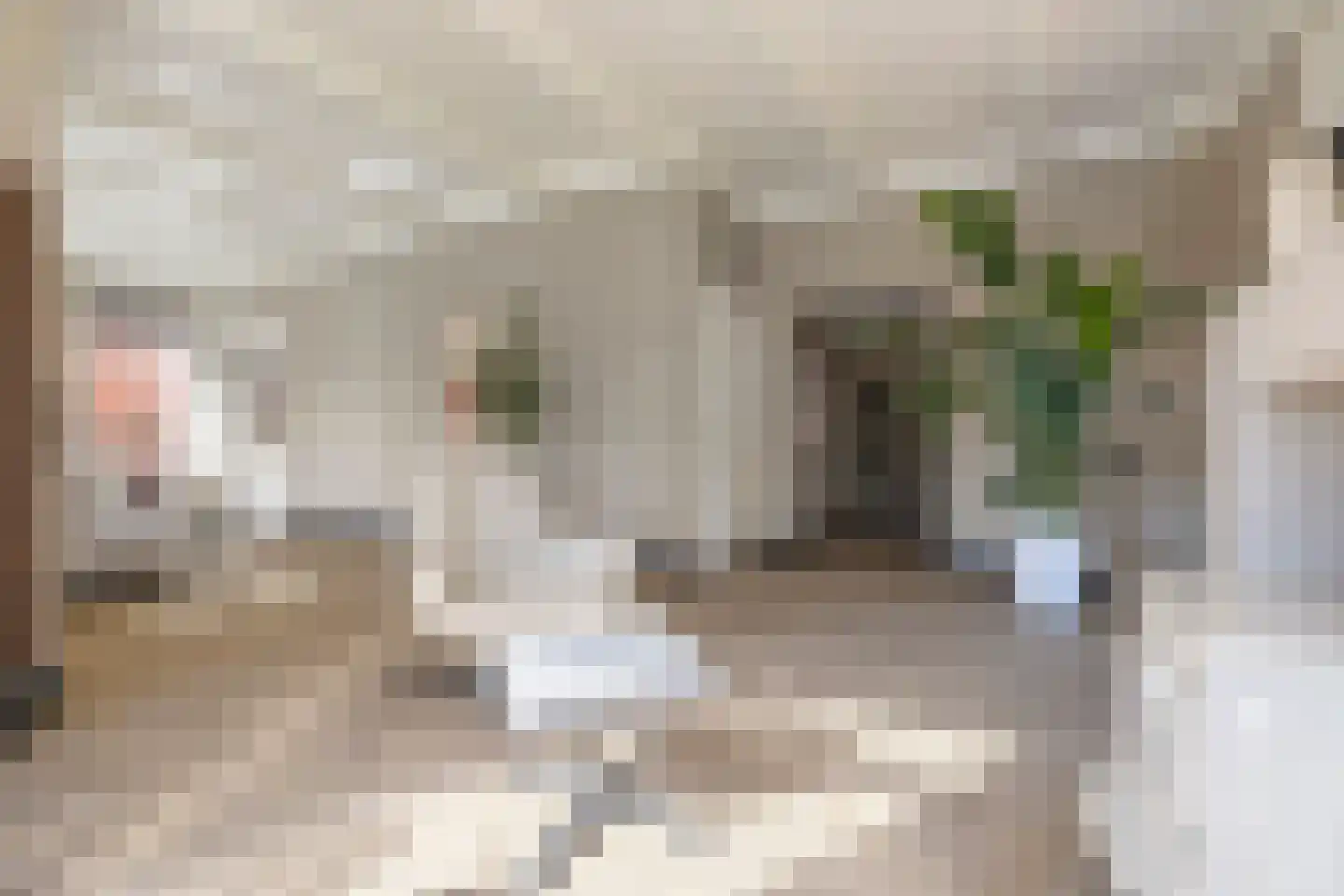 Schoolstraat 35 Bedum thumbnail 18