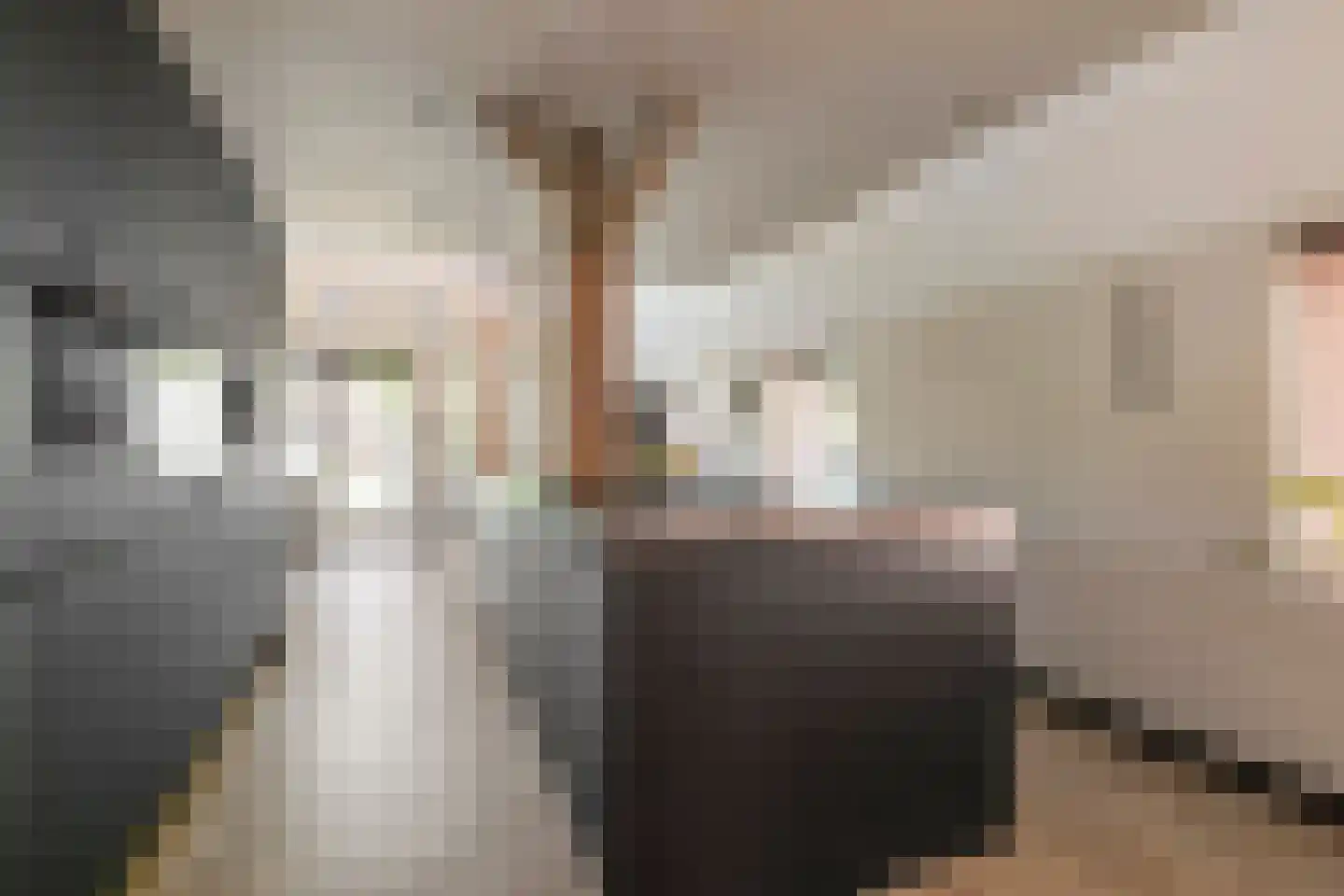 Schoolstraat 35 Bedum thumbnail 20