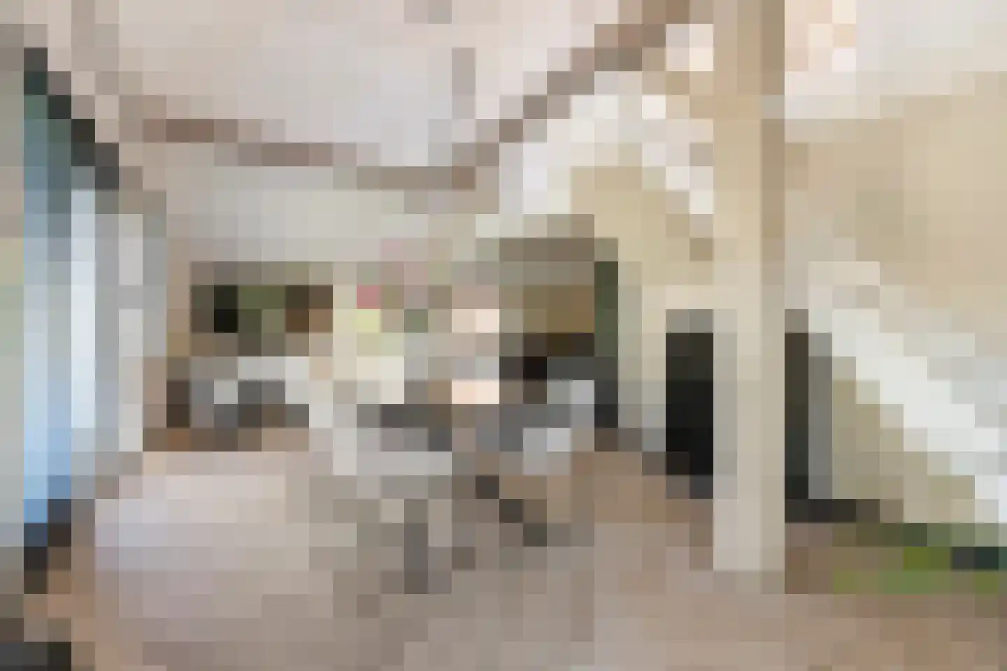 Schoolstraat 35 Bedum thumbnail 25