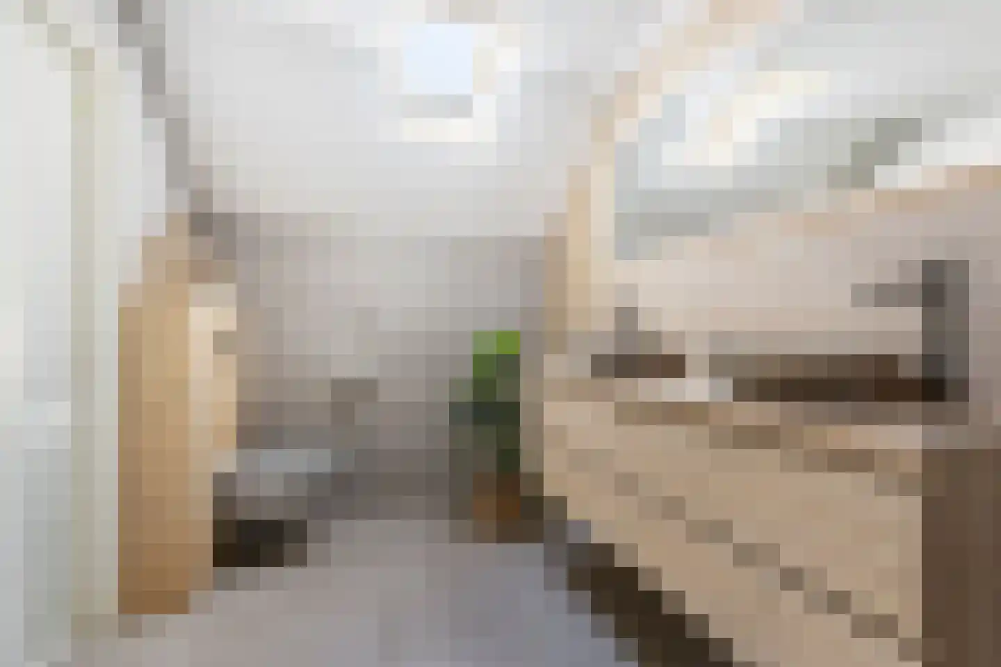 Schoolstraat 35 Bedum thumbnail 35