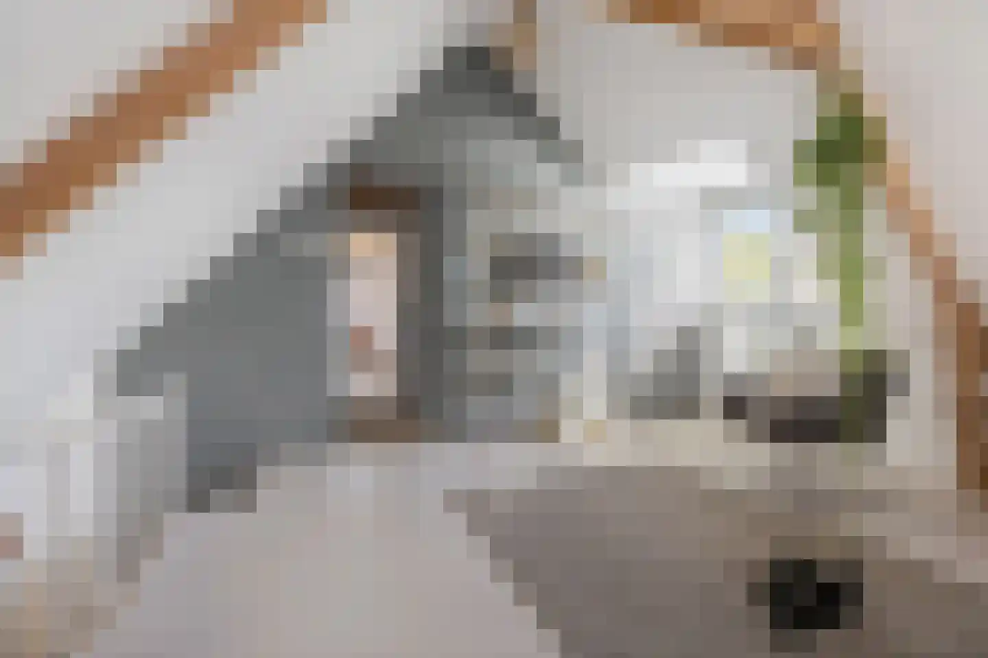 Schoolstraat 35 Bedum thumbnail 40