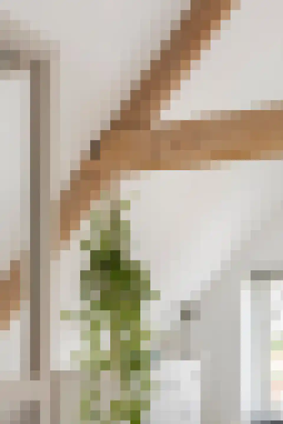 Schoolstraat 35 Bedum thumbnail 42