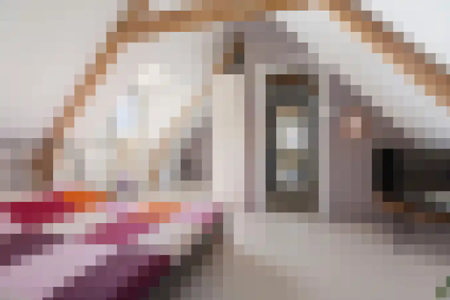 Schoolstraat 35 Bedum thumbnail 44