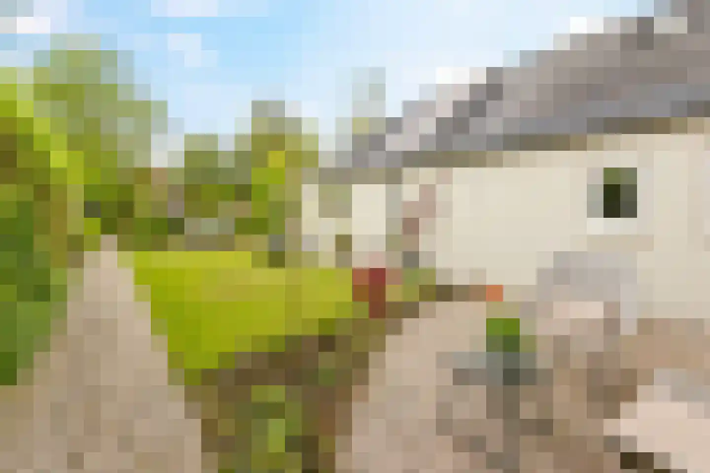 Schoolstraat 35 Bedum thumbnail 46