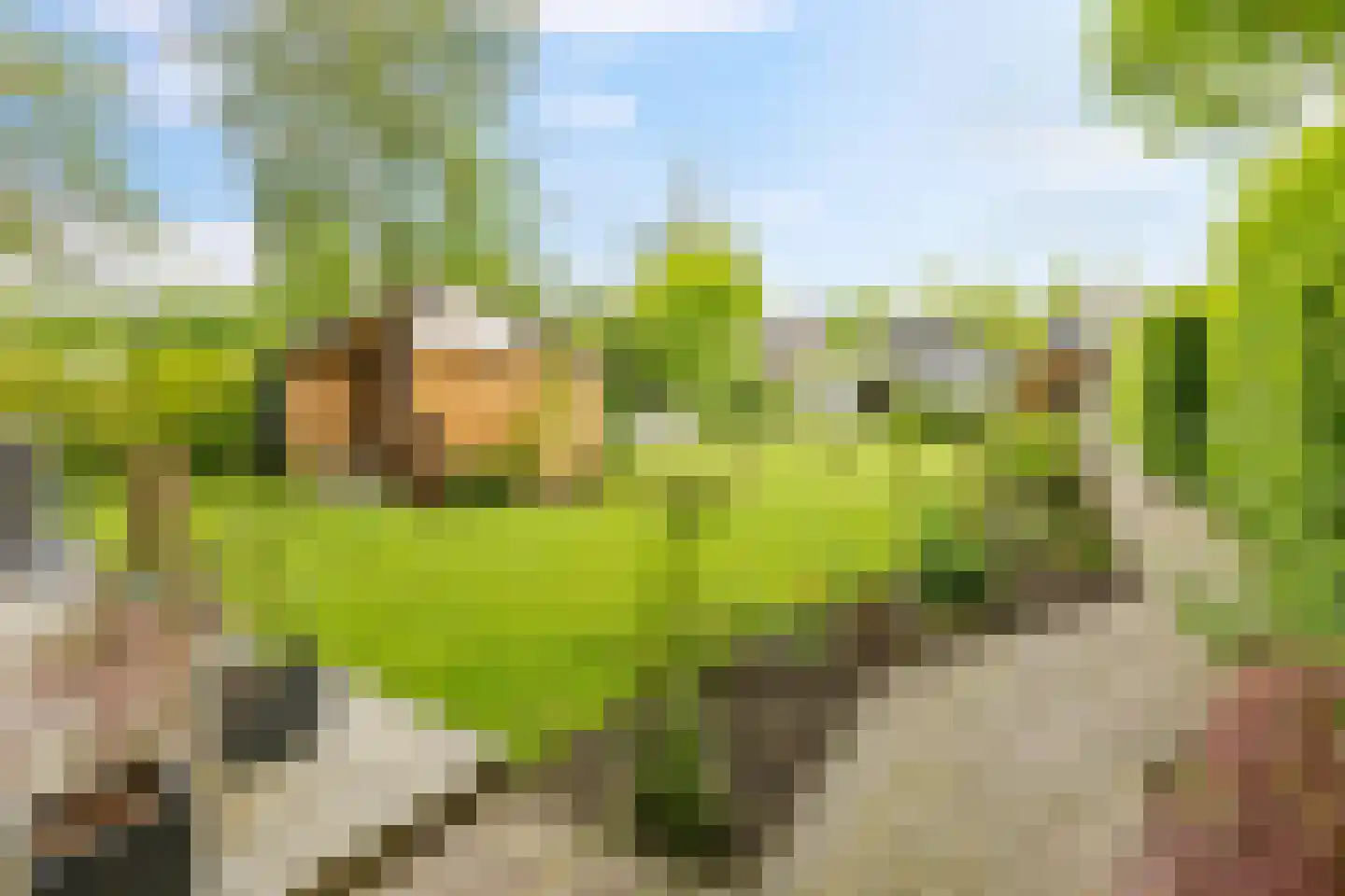Schoolstraat 35 Bedum thumbnail 53