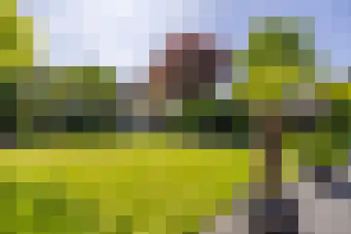 Schoolstraat 35 Volkel thumbnail 30