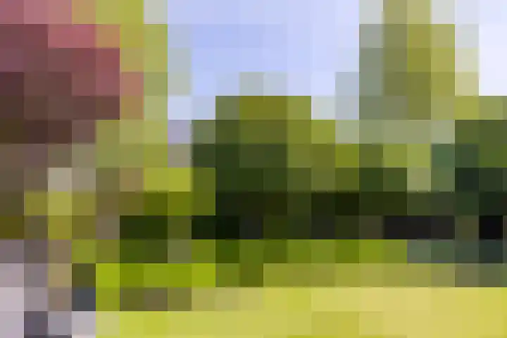 Schoolstraat 35 Volkel thumbnail 32