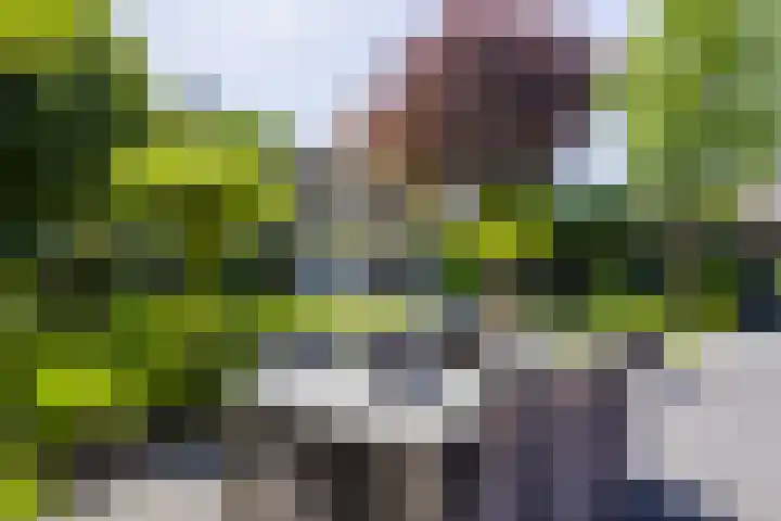 Schoolstraat 35 Volkel thumbnail 33