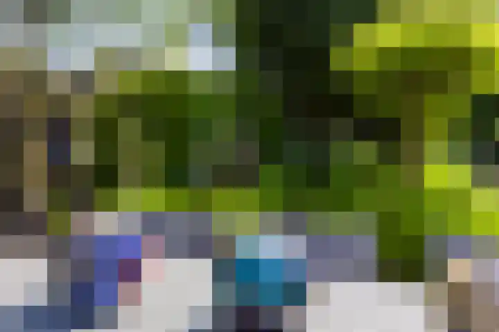 Schoolstraat 35 Volkel thumbnail 34