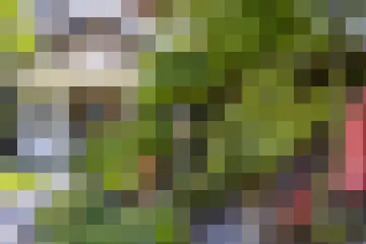 Schoolstraat 35 Volkel thumbnail 39