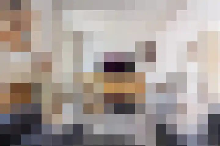 Schoolstraat 35 Volkel thumbnail 4