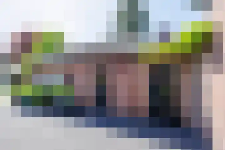 Schoolstraat 35 Volkel thumbnail 44