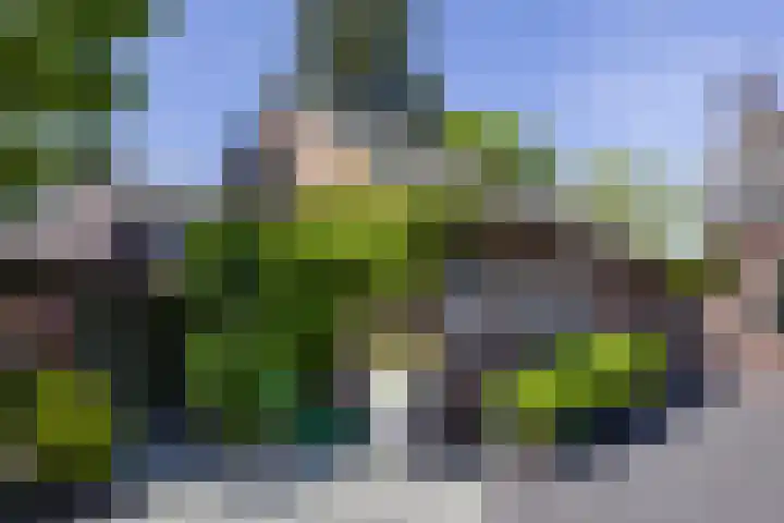 Schoolstraat 35 Volkel thumbnail 47